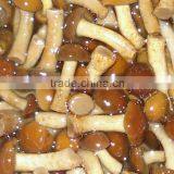 Nameko in Brine