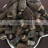 Dried Morels thumbnail-1