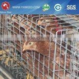 20000 Layer Farm Equipment Large Scale Automatic Project thumbnail-5