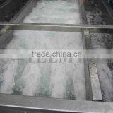 TW-307L Hot Sale Vegetable Washing Machine/ Fruit Washer/Vegetable Cleaning Machine thumbnail-6