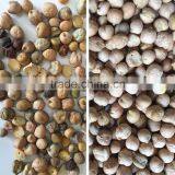 Chickpea Color Separator thumbnail-2