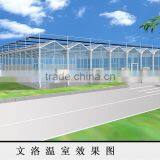 Venlo Type Glass Panels Agricultural Multi-Span Greenhouse With Sun Shade &Control System thumbnail-4