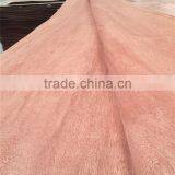 Linyi Factory Grade a b c d Rotary Cut 0.28mm 1220x2440 BNG Face Veneer thumbnail-1