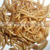 Pet Food Supplies Chicken Feed Dried Mealworm, Mealworm Fish Feed, thumbnail-1