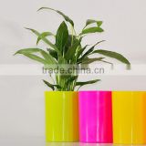 Small colorful plastic indoor flower pots
