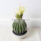 SJ1801212 Artificial Small Succulent Bonsai Plant/mini Cheap Plastic Plant thumbnail-4