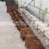 SJ2017200009 Hot Sale Outdoor Decorative Fake Washington Plastic Date Palm Tree thumbnail-3