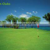 M5 Mini Blance Scooter 2016 Custom Designed for Golf for September Procurement Festival thumbnail-4