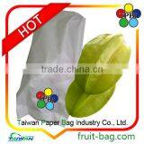 Carambola Paper Star Fruit Growing Paper Bag thumbnail-1