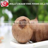 Healthy Product Natural Fermented Solo Black Garlic Seeds thumbnail-6