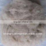 White Dehaired Cashmere,light Grey Dehaired Cashmere and Brown Dehaired Cashmere thumbnail-1