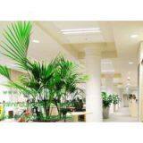 Square LED Panel Downlight, Super Slim SMD Down Light, 2835SMD 18W Ceiling Lights, Ultra Thin Interior Panel Lighting thumbnail-3