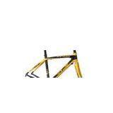 TTR6 carbon bicycle frames