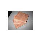BB/BB Bintangor Plywood thumbnail-1