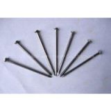 ROUND HEAD Common iron Nails roofing nails manufacturer sell direct
