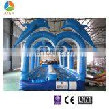 Double Lane Inflatable Water Slide, Dolphin Inflatable Water Slides, Ocean Theme Water Slide thumbnail-1