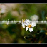 Dynamic 3D Card thumbnail-1