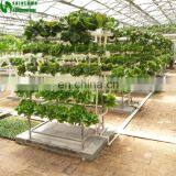 Greenhouse Indoor Hydroponic Channels Set Hydroponic Growing Systems