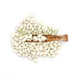 Large White Kidney Beans thumbnail-5