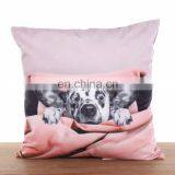 Ins Sofa Cushion Cute Fox Dog Animal Square Decorative Throw Pillows Case Cushion Covers thumbnail-5