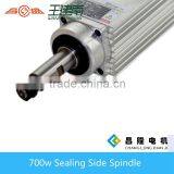 Changsheng Sealing Side Spindle 700/750w Air Cooled(GDZ70*62-700w/750w ) thumbnail-2