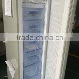 Twin Refrigerators and Freezers Stand Side by Side thumbnail-3