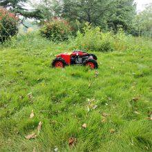 Cordless Brush Cutter, China Radio Controlled Lawn Mower for Sale Price, Robot Lawn Mower With Remote Control for Sale thumbnail-1
