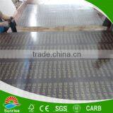 Best Quality Russia Birch Film Faced Plywood thumbnail-3