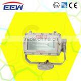 EEW HRLM BFd91 Series Explosion Proof Floodlights (IIB, TD) thumbnail-1
