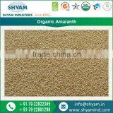 Wholesale Manufacture Organic Amaranth for Bulk Buyer thumbnail-1