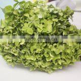 Fresh Crazy Selling Fresh Hydrangea Export From China thumbnail-1