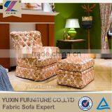 High Quality Classical Salon Chair thumbnail-1