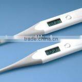 Digital Thermometer