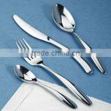 Stainless Cutlery Set thumbnail-1