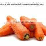 Frozen Fresh Varied Carrot Diced Products thumbnail-5