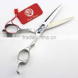 2016 Purple Hair Dresser Scissors Scissors Hair Profissional Hairdressing thumbnail-6