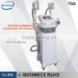 Professional Beauty Machine Criotherapy Weight Loss Machine Popular in the World thumbnail-2