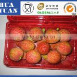 2016 Fresh Fruit Lichee from China