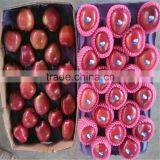 2014 Red Delicious Apple Chinese Huaniu Apple