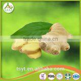 Chinese Fresh Fat Giant Big Natural Mature Ginger thumbnail-1