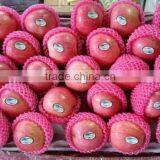 Fresh Fruits and Vegetables Qinguan Apple thumbnail-2