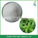 High Quality Sweetness Stevia Extract Powder 50%-99% thumbnail-2
