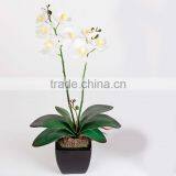 Succulent Plants Tropical Plants Artificial Succulent Plants With Pot, Artificial White Orchid Potted Plant