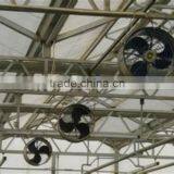 JINLONG China High Quality Greenhouse Air Circulation Fan thumbnail-5