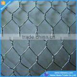 PVC Coated Welded Hexagonal Wire Netting / Chicken Wire Netting Hexagonal Square thumbnail-6