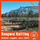 black anti hail net for agriculture