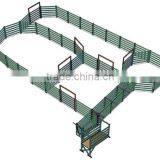 100+ Head Steel Cattle Yard With Headbail and Loading Ramp thumbnail-1