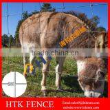 Hot Sale Hinge Joint Livestock Field Fence/Grassland Farm Fencing
