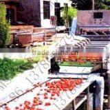 New City Bus School Buses thumbnail-1