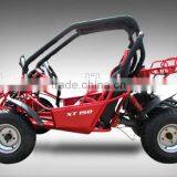 EEC 150cc/250cc Buggy thumbnail-3